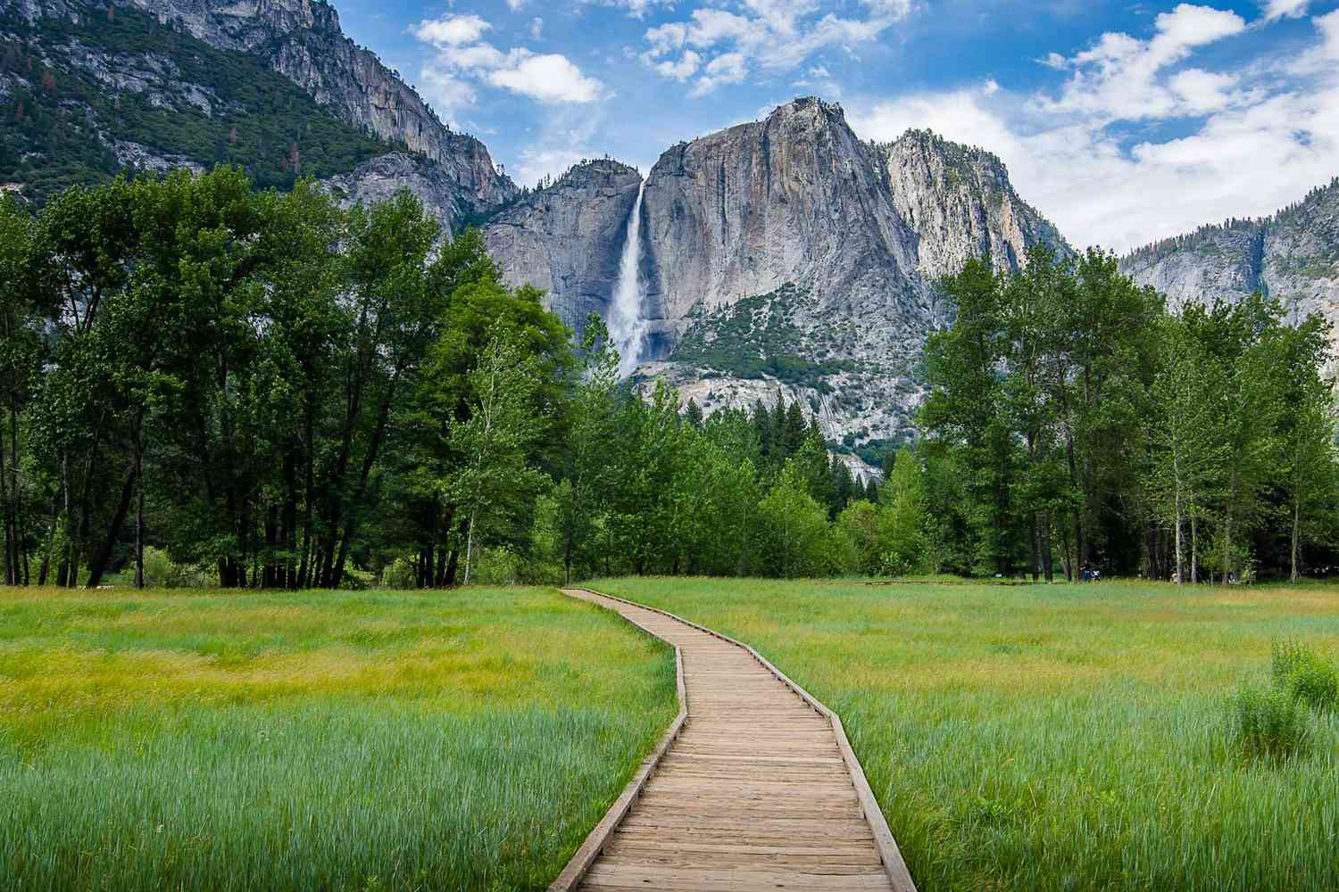 Best Dog Friendly Hikes Bay Area