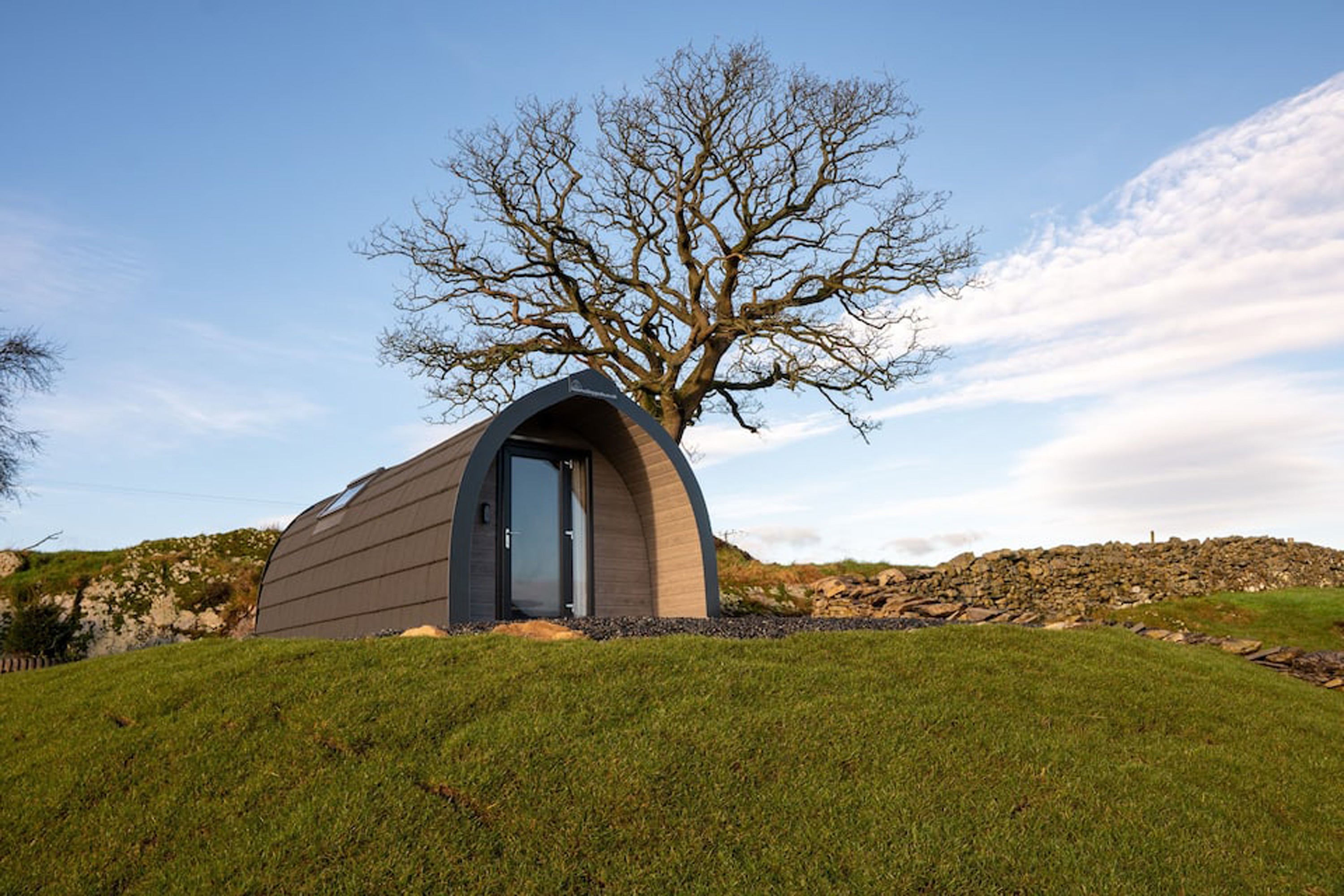 Best Dog Friendly Airbnb Ireland