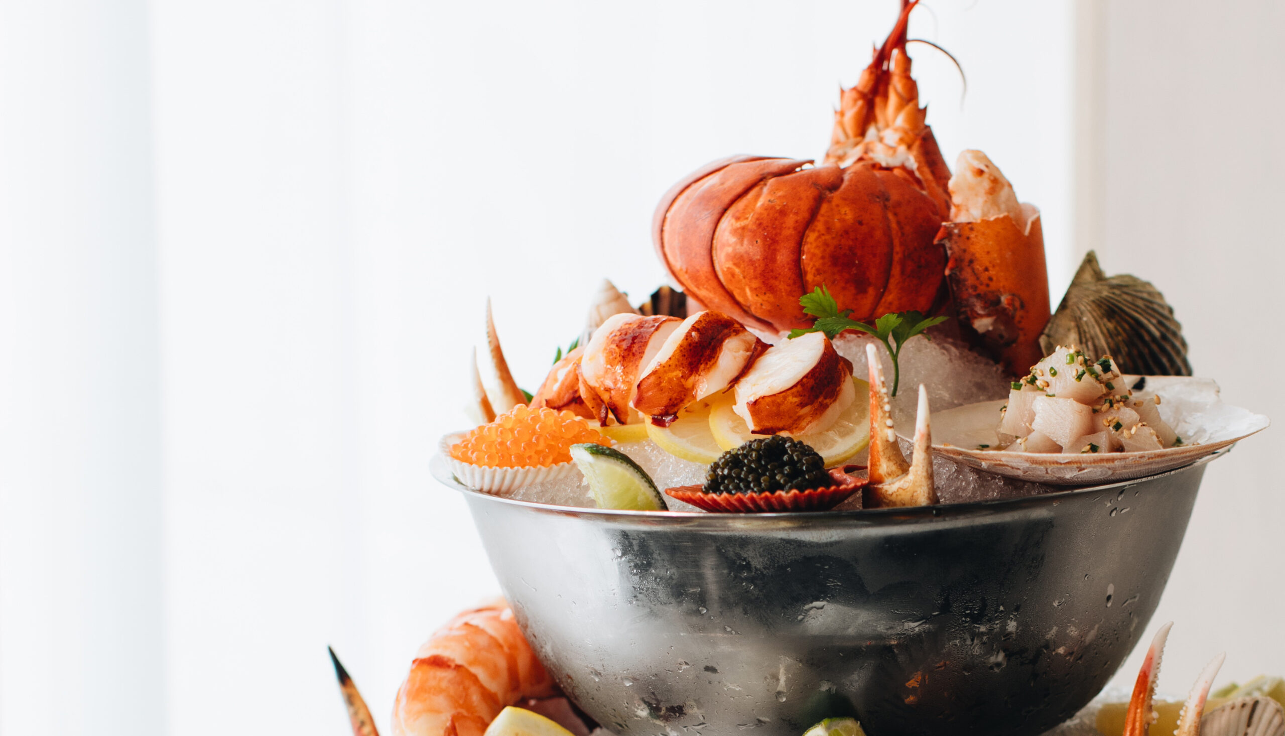 Best Dog Friendly Seafood Restaurants Near Me Best Dog Friendly Seafood Restaurants Near Me